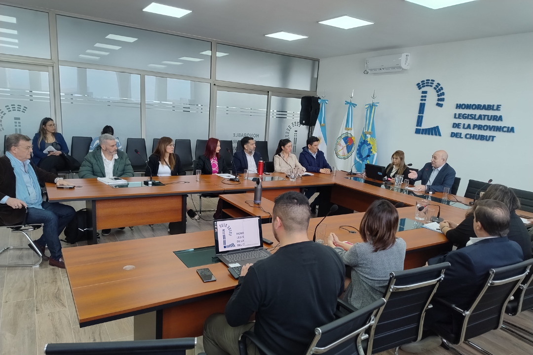 Consejo Consultivo de Partidos Políticos — Agosto 2025